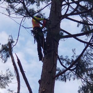 Meet your Posher, Alfonso